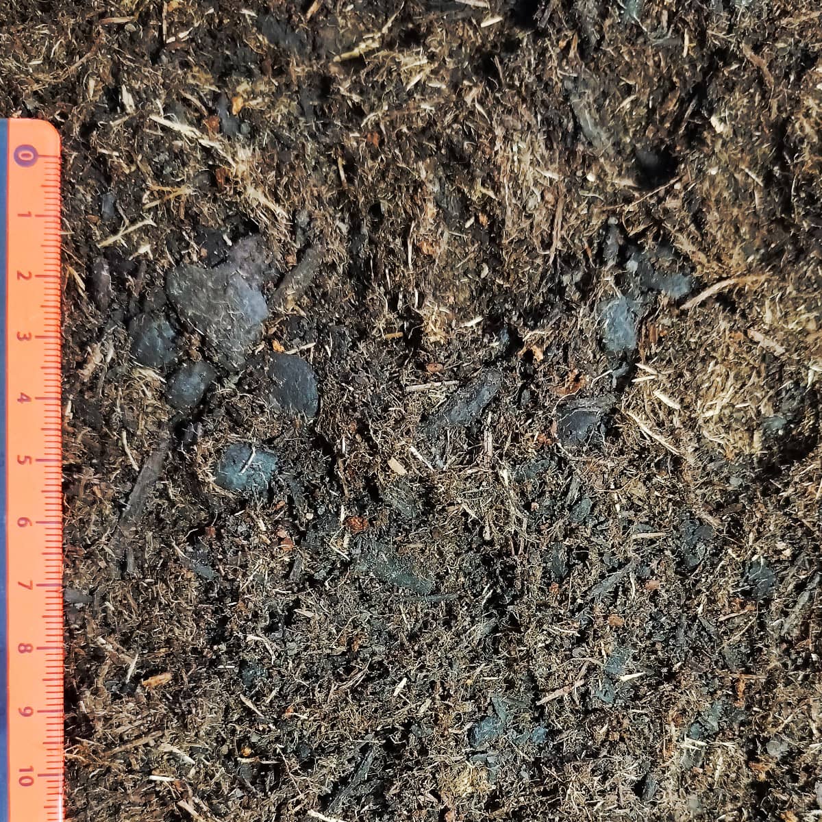 Blumenerde – Bild 2