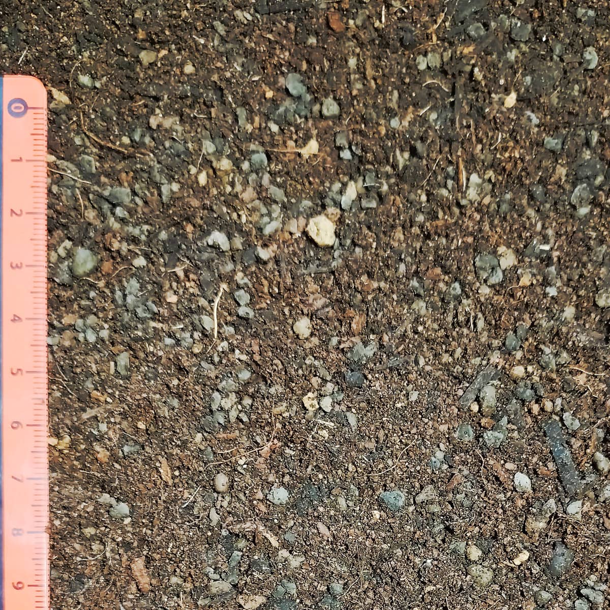 Bonsaierde – Bild 2