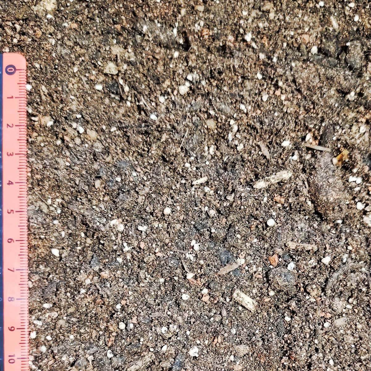 Gartenerde – Bild 3