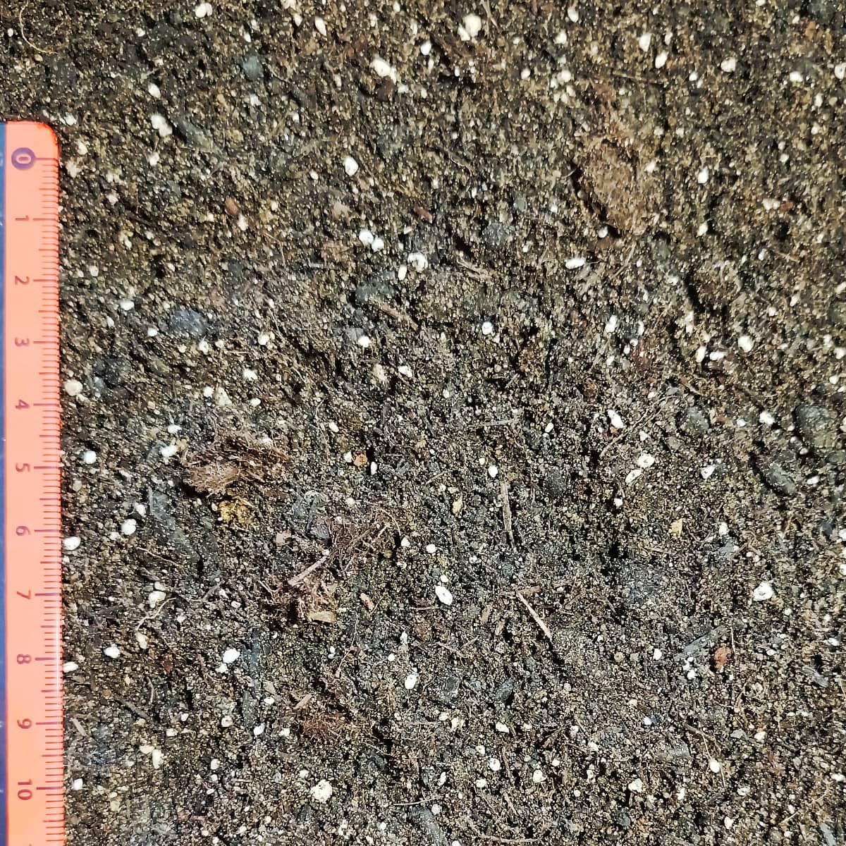 Rasenerde – Bild 2