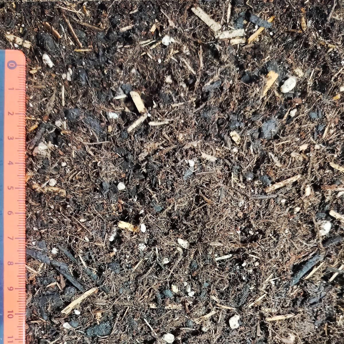 Topf BIO ohne Torf SW – Bild 2