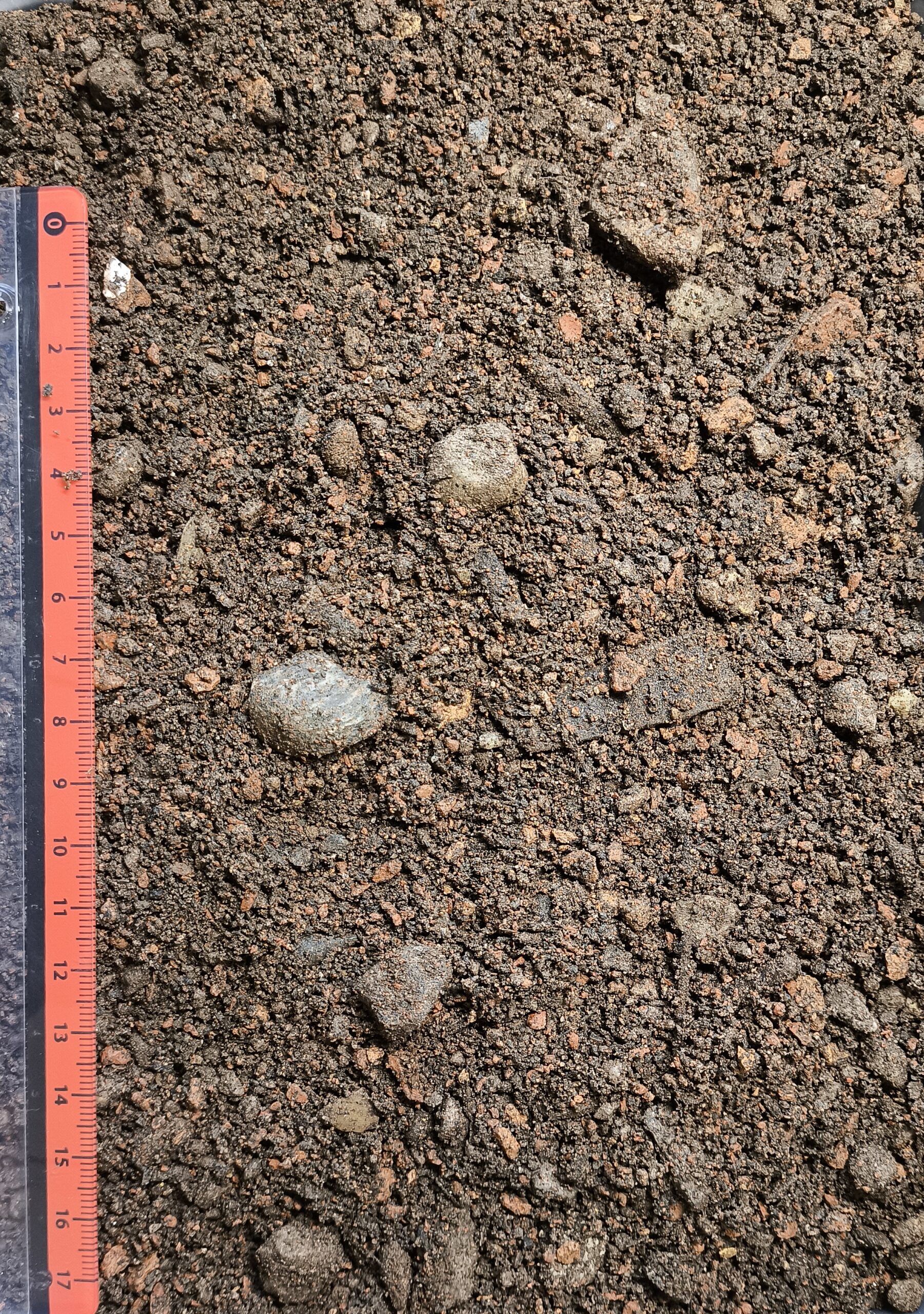 Baumsubstrat 1 – Bild 2